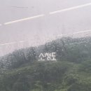 해당화민박 | 우리나라 섬에 있는 사막여행(대청도)