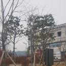 구암동188 이미지