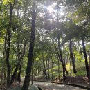 윤희분식