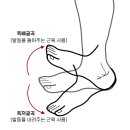 정한방병원 이미지