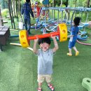 [세종] 도토리숲 키즈파크 – 미꾸라지잡기, 동물먹이주기, 자연 감성 가득한 숲놀이터 추천!