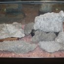 동국어패류 이미지