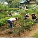 향림도시농업체험원
