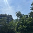 룸구 | 서울 안토 리조트(구 파라스파라)🌿| 팀버주니어룸 솔직 숙박후기