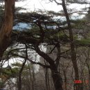 산과호수 이미지