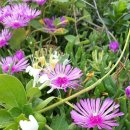 석병초등학교 이미지