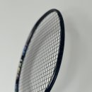 THE 1 | 트라이온 라켓 X-1 THE SWAN Black 라켓 사용 후기