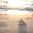 힐링의섬집 이미지