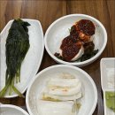 제주도야지 이미지