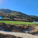 혜원농장 이미지