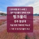 국내 여행지 추천 첨성대 경주 핑크뮬리 해바라기 여행지 이미지