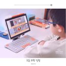 놀이랑과학실험실(식물) | 초등과학 공부 과학실험놀이 아이스크림홈런 엄마표과학놀이 홈스쿨링