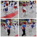 용인 파파태권도장 이미지