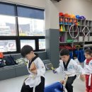 용인대우리태권도 이미지