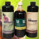 이엠존