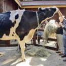 이윤축산 이미지