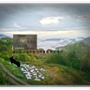 진실농장 이미지