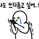 이로애견미용실 이미지