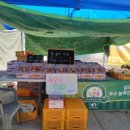 서경원농장 이미지