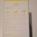 펫프로젝트 이미지