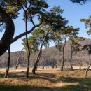 공주-04 이미지