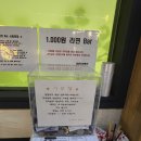 안면도덤앤더머 | 안면도 스파펜션 추천! 깨끗한 수영장이 있는 태안 덤앤더머펜션