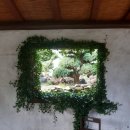 카페포렛 이미지