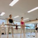 제이앤발레스튜디오학원 이미지