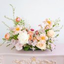 더케이샵 이미지