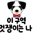 유앤동물의료센터 이미지