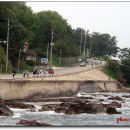 경정리 (차유마을) 해안가 이미지