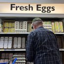 윤호정 농장 이미지