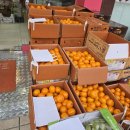 드림디포 (광산점) 이미지