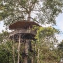 동화카인테리어 | 치앙마이 아이랑 가볼만한곳 북부 투어 중 만난 동화 같은 숲속 카페