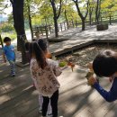 시립장곡어린이집 이미지