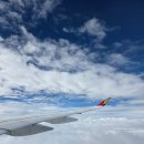 133 | 아시아나항공 인천-후쿠오카 (OZ132), 후쿠오카-인천(OZ133) 비행기 탑승 후기