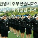 뿌리깊은나무 이미지
