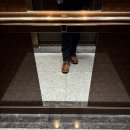 3343 | [REDWING]레드윙 블랙스미스 3343 카퍼러프앤터프 us7.5D 내돈내산 (feat. redwing 목토 1907과 비교)