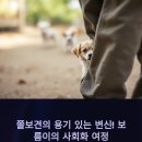 클리닉리서치 | 쫄보견 보름이의 사회화 교육 도전 기와 노래로 행동 클리닉 리얼 후기