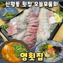 신월동횟집 신정동횟집 영횟집 모둠회 회덮밥 후기