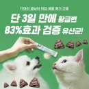 엘림랜드(주) 이미지