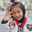 건강한태권도교육관 이미지