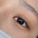 쩡이LASH