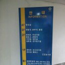 종합운동장 실내체육관 이미지