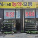 혁이네모종 이미지