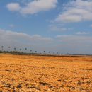 유화목장 이미지