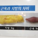 잘빠짐점핑 이미지