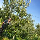 현서면사무소 이미지