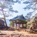 무릉도원면-41 이미지