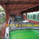 라온커뮤니티 이미지